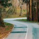 Colorful shot of a road in the middle of the forest during an autumnal day