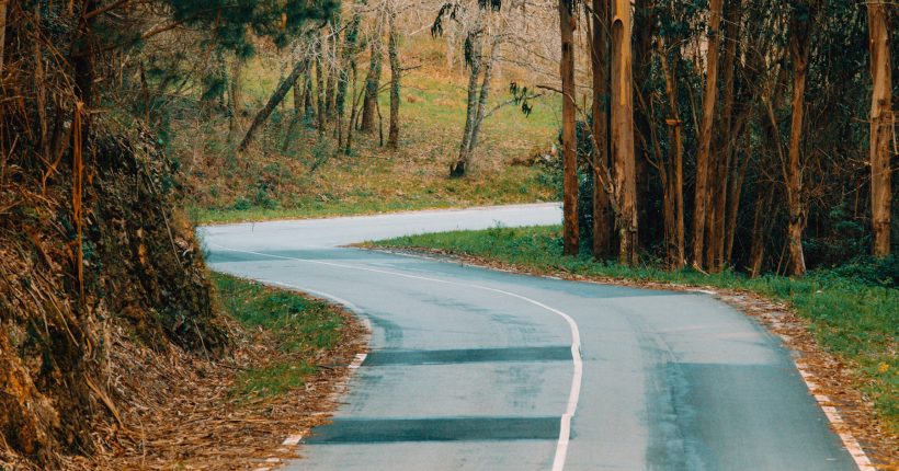 Colorful shot of a road in the middle of the forest during an autumnal day